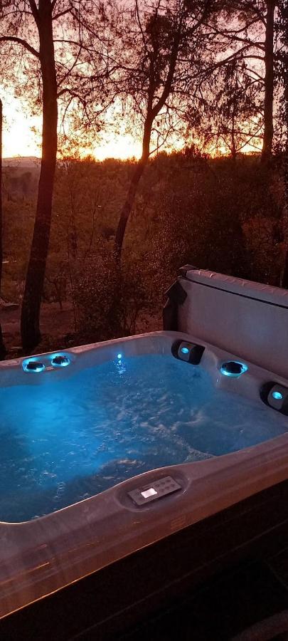 Gite Avec Spa Jacuzzi Au Coeur De Provence Cote D'Azur Saint-Antonin-du-Var Ngoại thất bức ảnh